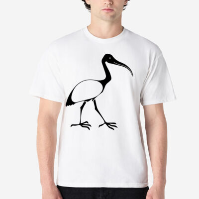 Bin Chicken Solo Thumbnail